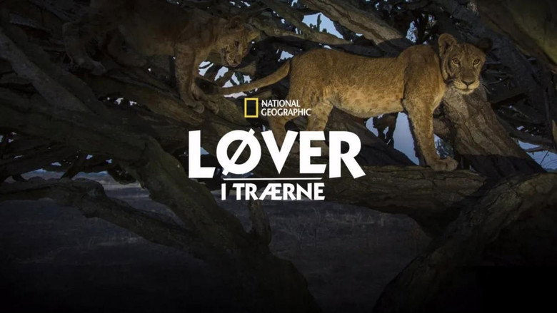 кадр из фильма Tree Climbing Lions
