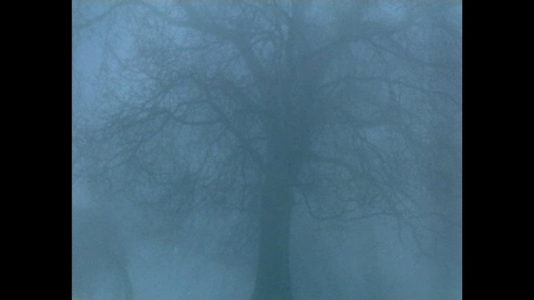 кадр из фильма Pine Flat