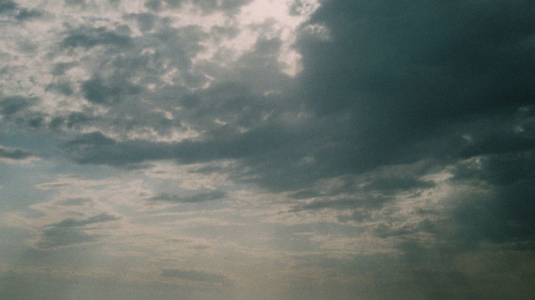 кадр из фильма Lève les yeux au ciel