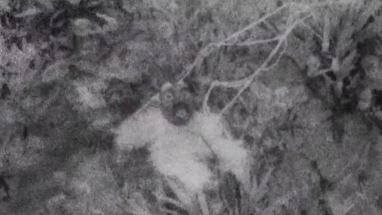 кадр из фильма Punku