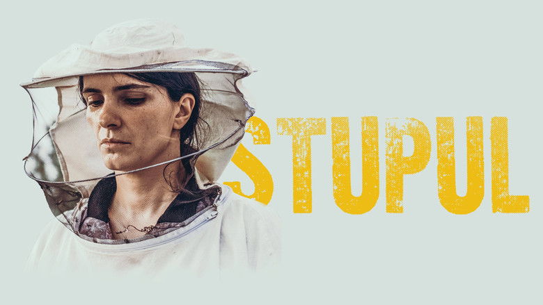 кадр из фильма Улей