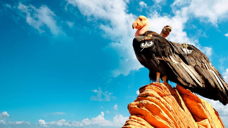 кадр из фильма Big Sur: Wild California