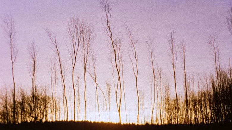 кадр из фильма Aspect