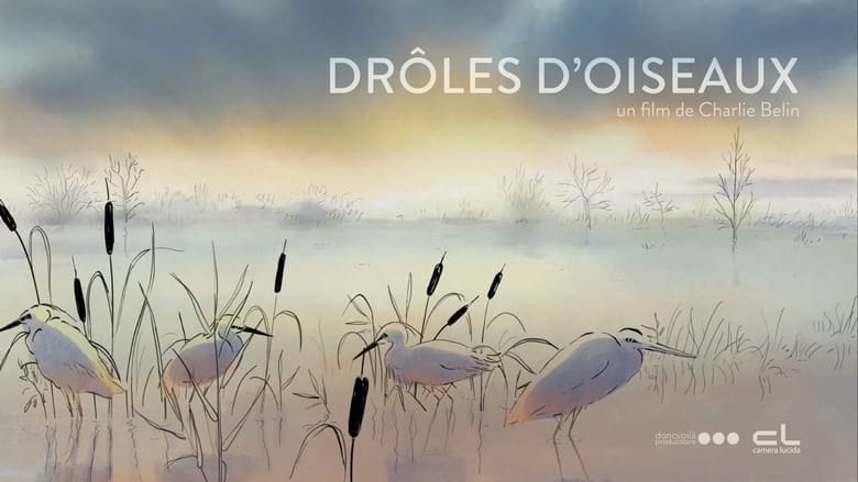 кадр из фильма Drôles d'oiseaux