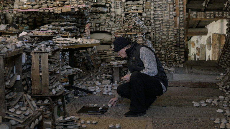 кадр из фильма La Ricerca