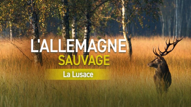 кадр из фильма Wildes Deutschland: Die Lausitz