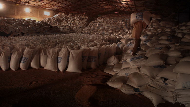 кадр из фильма Dead Donkeys Fear No Hyenas