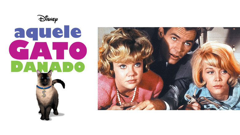 кадр из фильма Эта дикая кошка