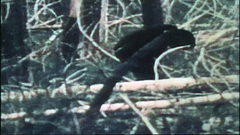 кадр из фильма The Legend of Bigfoot