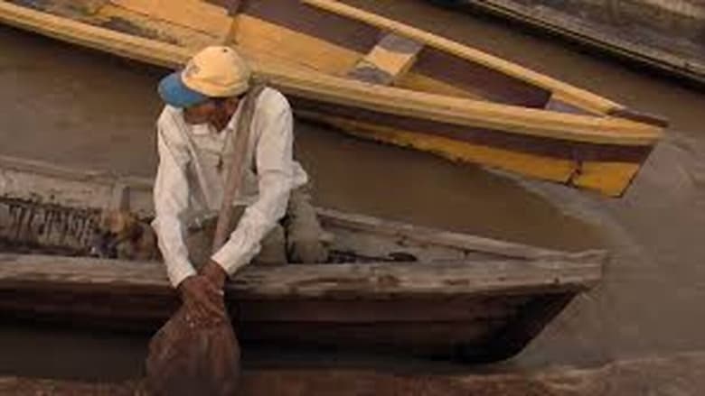 кадр из фильма Terras