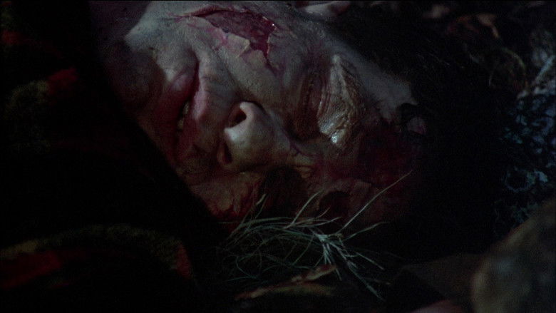 кадр из фильма Лягушки