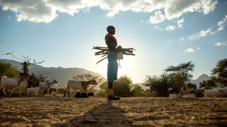 кадр из фильма My Africa