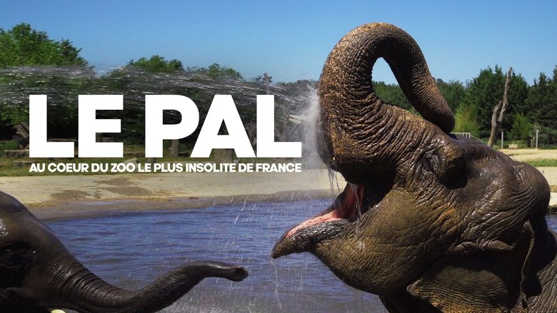 кадр из фильма Le Pal : au coeur du zoo le plus insolite de France