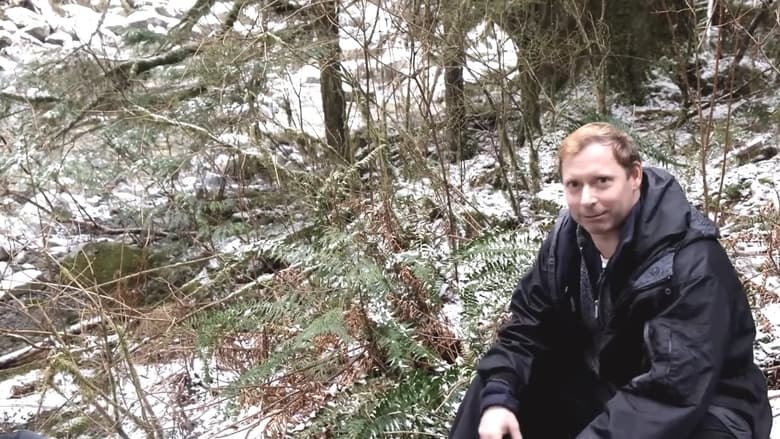 кадр из фильма Searching for Sasquatch Chapter II  The Watchers