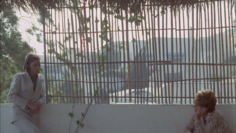 кадр из фильма Le Clair de terre