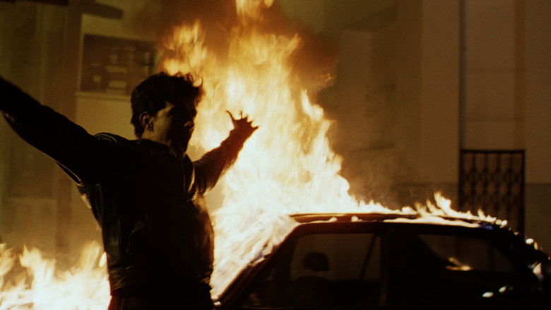 кадр из фильма Casanegra