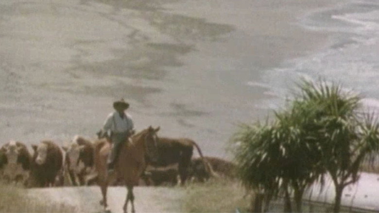 кадр из фильма Ngāti