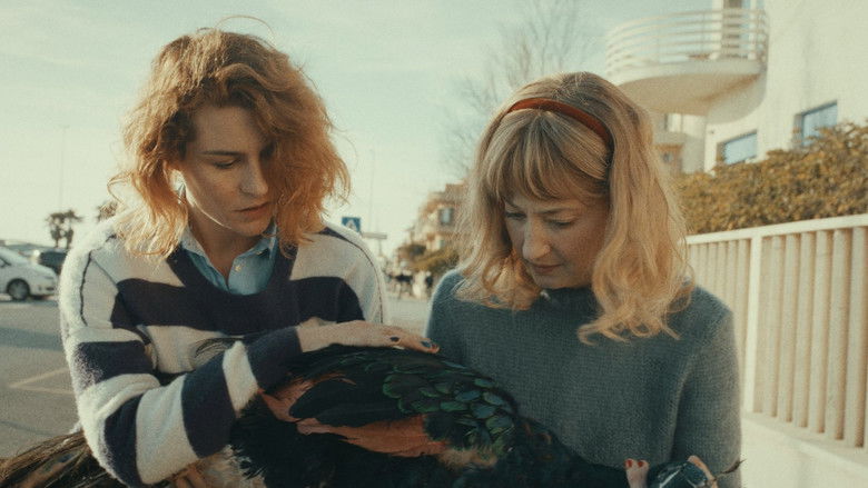 кадр из фильма Павлиний рай