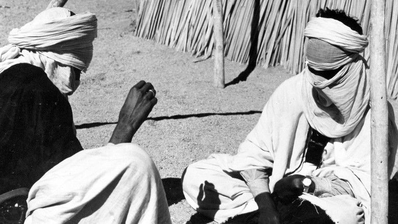 кадр из фильма Tahalra