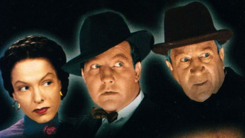 кадр из фильма The Black Cat