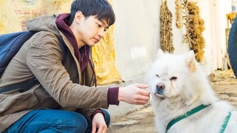 кадр из фильма Прекрасные дни