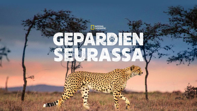 кадр из фильма Man Among Cheetahs