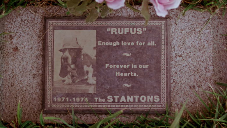 кадр из фильма Gates of Heaven