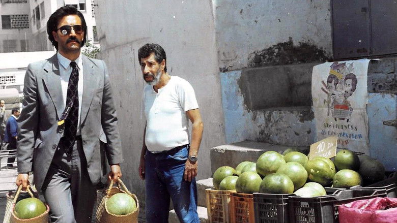 кадр из фильма Lumières