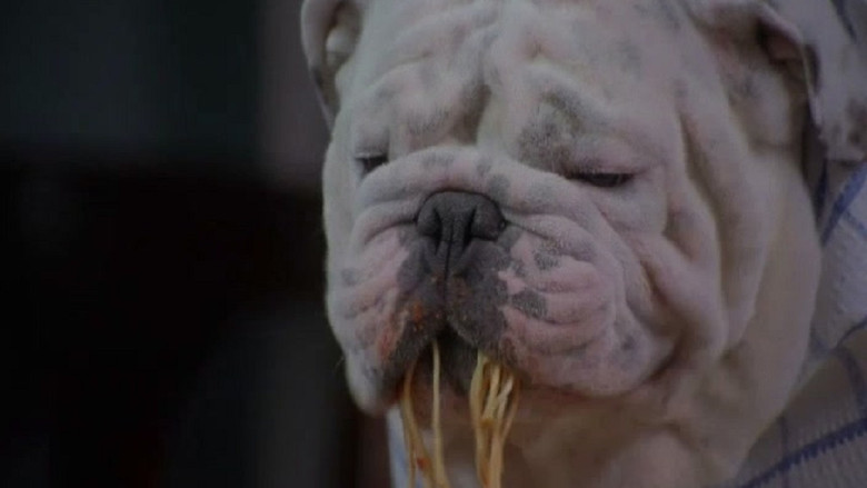 кадр из фильма Крестный пес