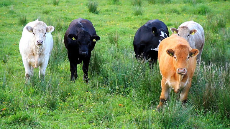 кадр из фильма put the goat in the goat boat