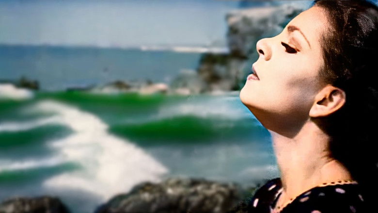 кадр из фильма ناخدا