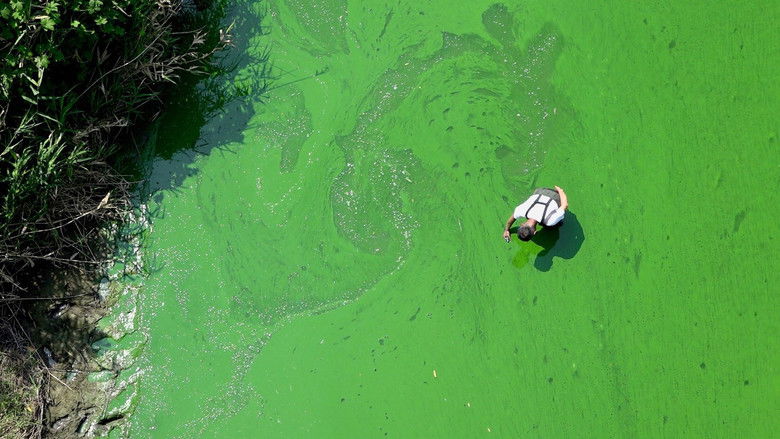 кадр из фильма 삽질