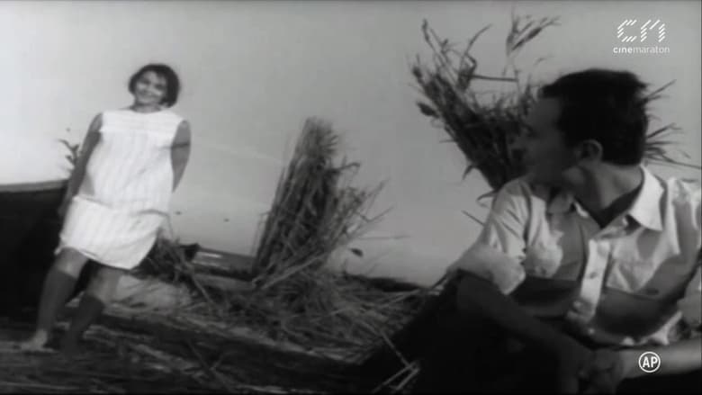 кадр из фильма Țărmul n-are sfârșit