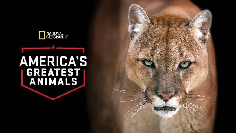 кадр из фильма America's Greatest Animals