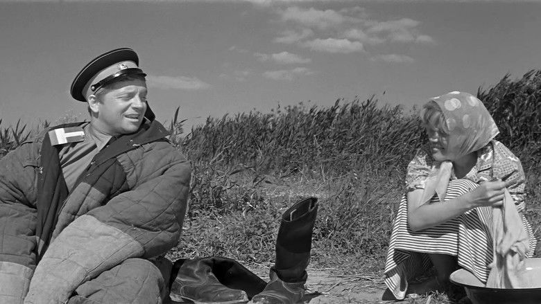 кадр из фильма Ко мне, Мухтар!