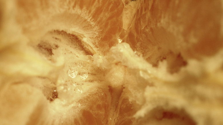 кадр из фильма Pulpa