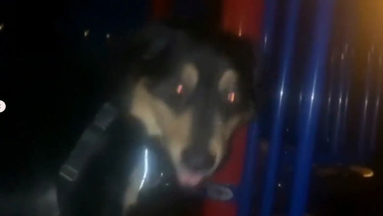 кадр из фильма The Night Ground