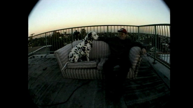 кадр из фильма Sublime | Stories, Tales, Lies & Exaggerations