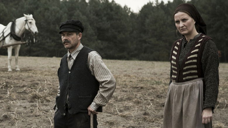 кадр из фильма Волынь