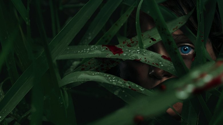 кадр из фильма В высокой траве