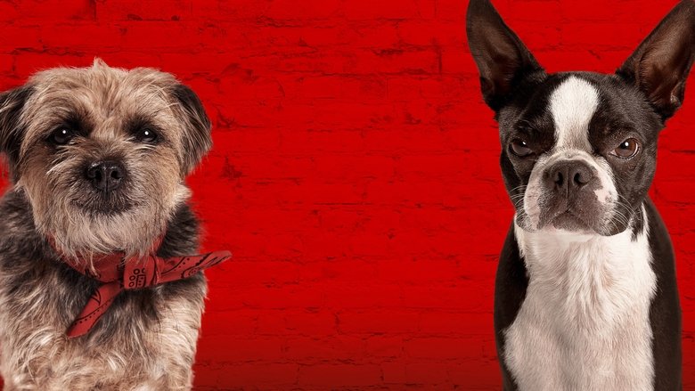 кадр из фильма Отвязные дворняги