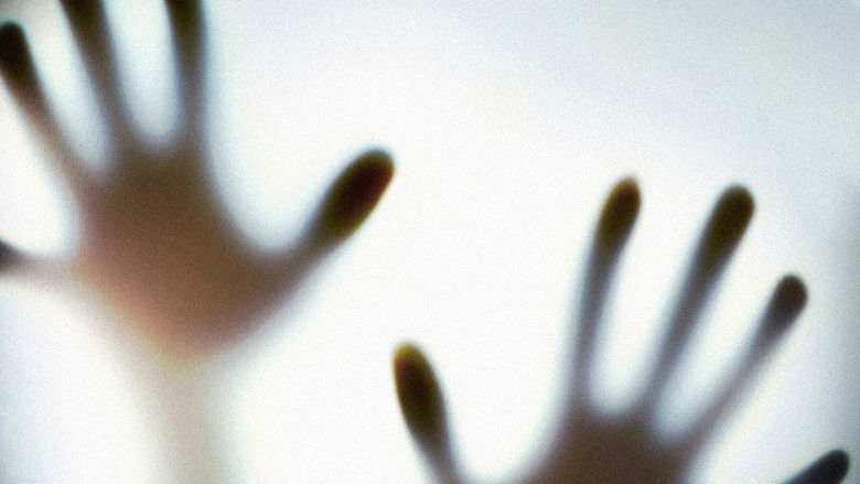 Di me cosa ne sai - Inchiesta su un grande mistero italiano