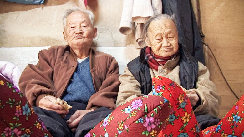 кадр из фильма 나부야 나부야