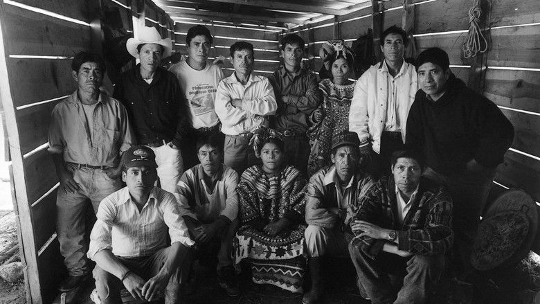 кадр из фильма Le Pays Hanté