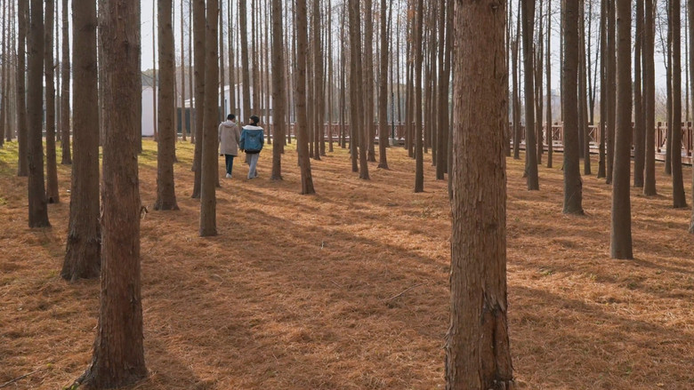 кадр из фильма 小林