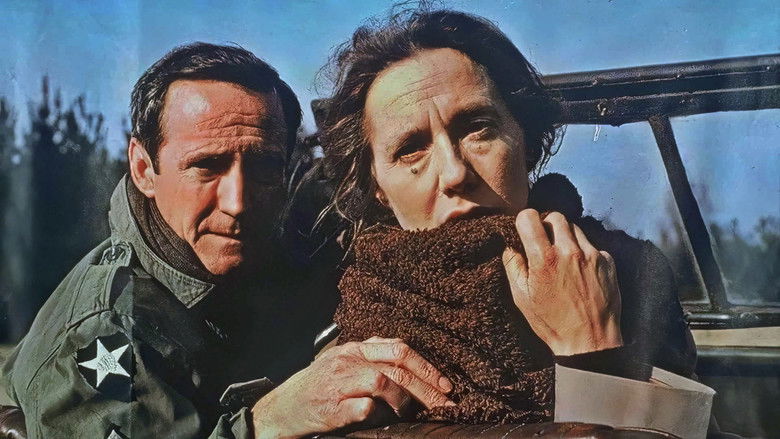 кадр из фильма Год спокойного солнца