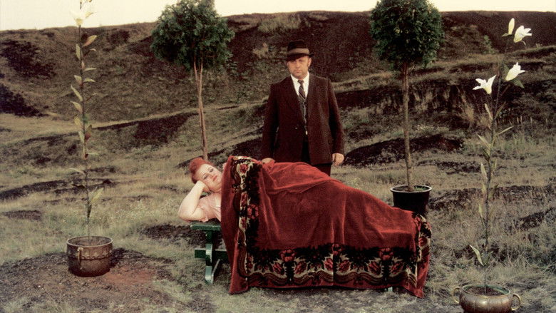 кадр из фильма Angelus