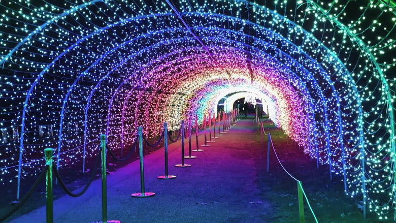 кадр из фильма A Warwick Castle Christmas