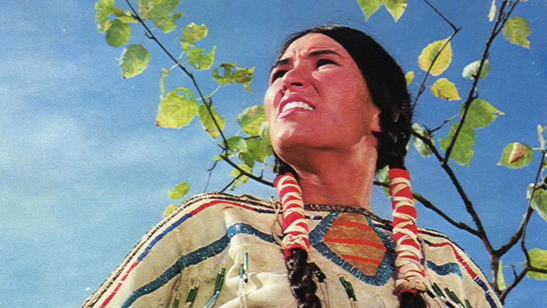 Зимний ястреб