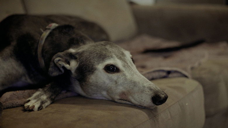 кадр из фильма Going to the Dogs